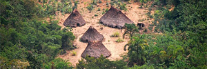 Acciones de protecci&oacute;n y sensibilizaci&oacute;n para la supervivencia de los pueblos en aislamiento