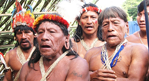 Yasuni